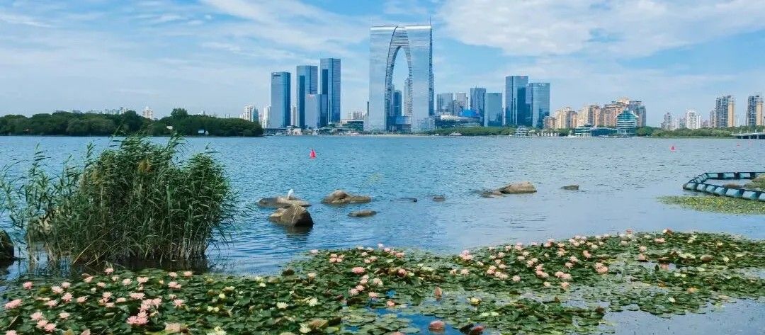 lotus_lake_gate_to_the_east.jpg