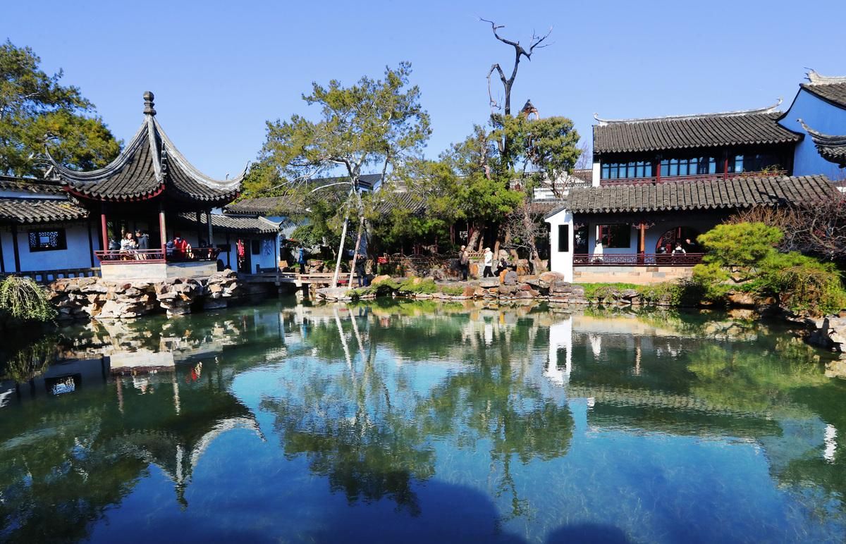 Lion Grove Garden
