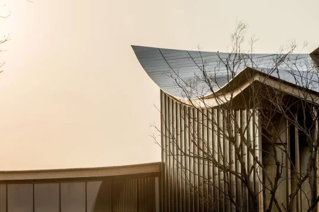 Opening Exhibitions at Suzhou Museum of Contemporary Art