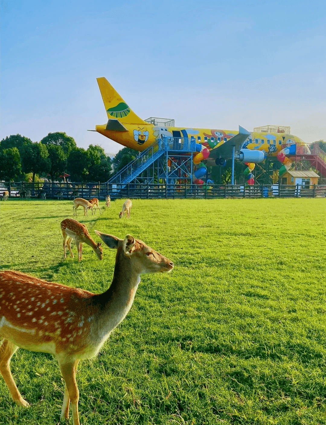 Xishan Island Happy Farm