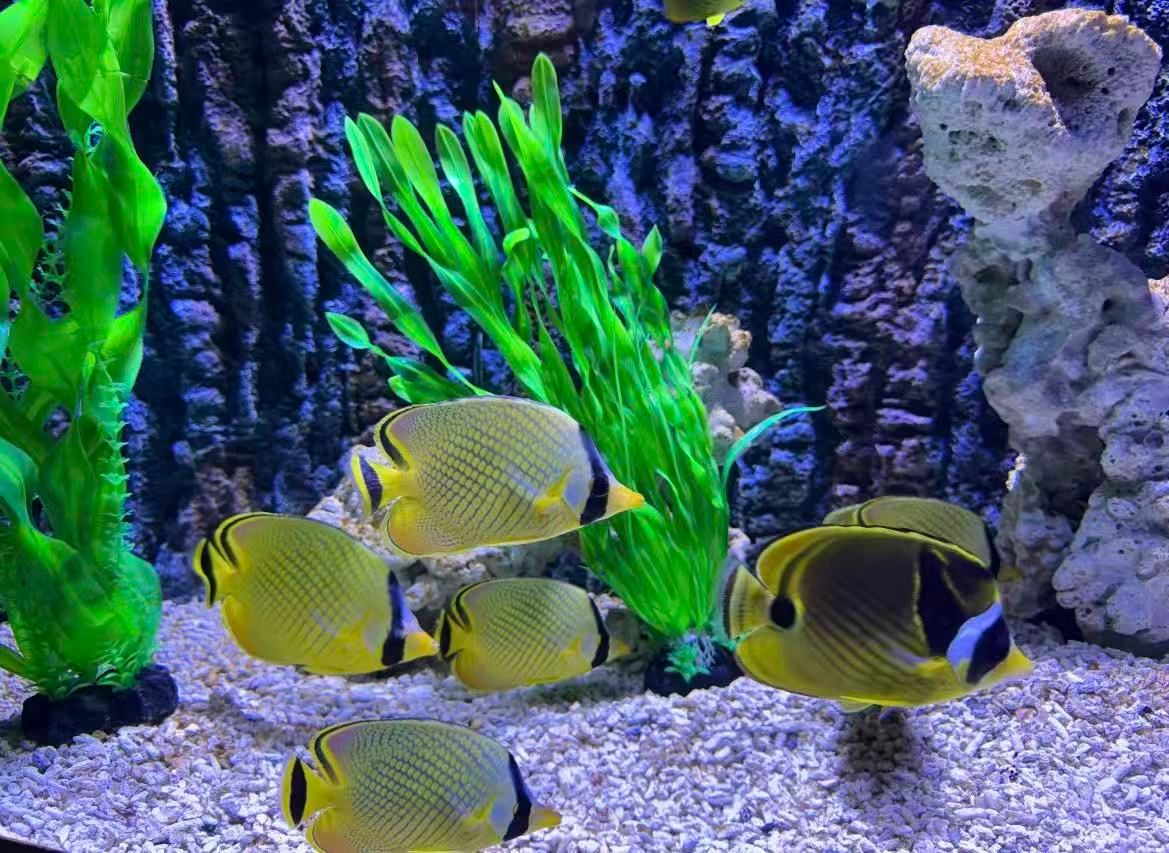 Seabed World