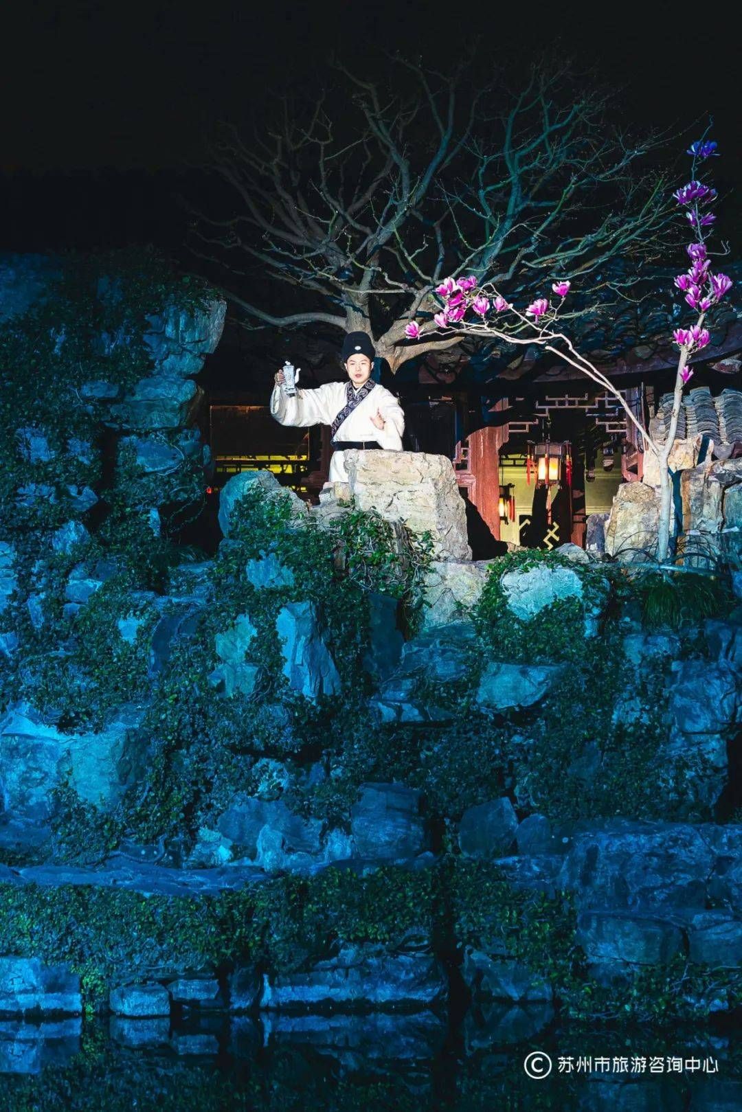 Master of the Nets Night Garden