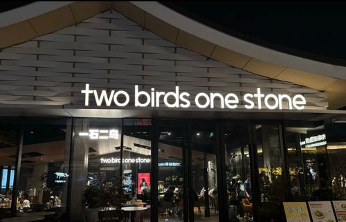 Two Birds One Stone