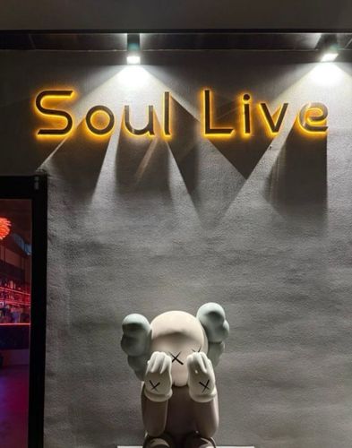 Soul Live