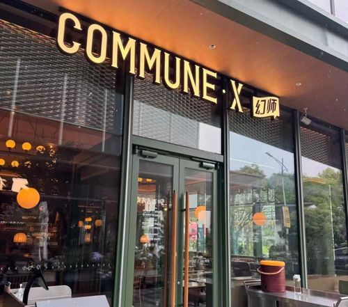 COMMUNE X